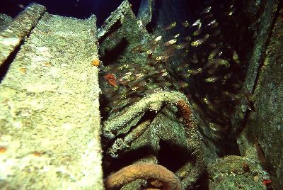 SalemExpress_99_015_k