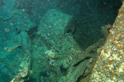 Thistlegorm_2013_005_Auswahl_XL_k