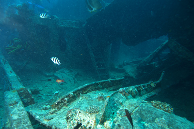 Thistlegorm_2013_014_Auswahl_XL_k