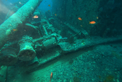 Thistlegorm_2013_027_Auswahl_XL_k