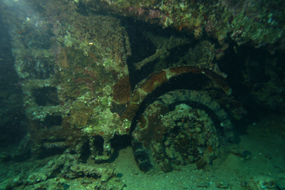 Thistlegorm_2013_049_Auswahl_XL_k