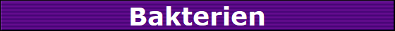 Bakterien