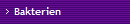 Bakterien
