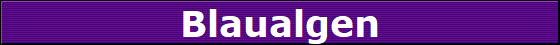 Blaualgen