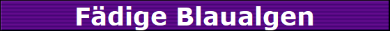F�dige Blaualgen