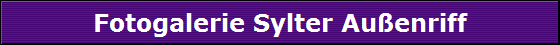 Fotogalerie Sylter Au�enriff