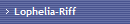 Lophelia-Riff