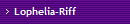 Lophelia-Riff