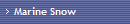 Marine Snow