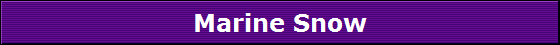 Marine Snow