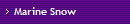 Marine Snow