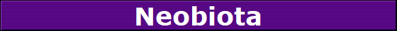 Neobiota