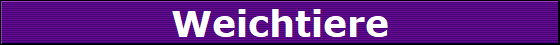 Weichtiere