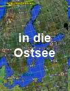 Arten der Ostsee
