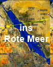 Arten des Roten Meeres