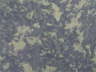 F�dige Blaualgen